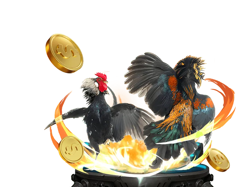 Các chương trình khuyến mãi Win58